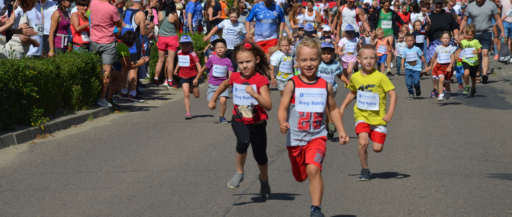 Artyku y Wutkowski artyku-y-wutkowski